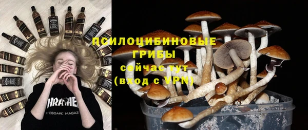 PSILOCYBIN Армянск